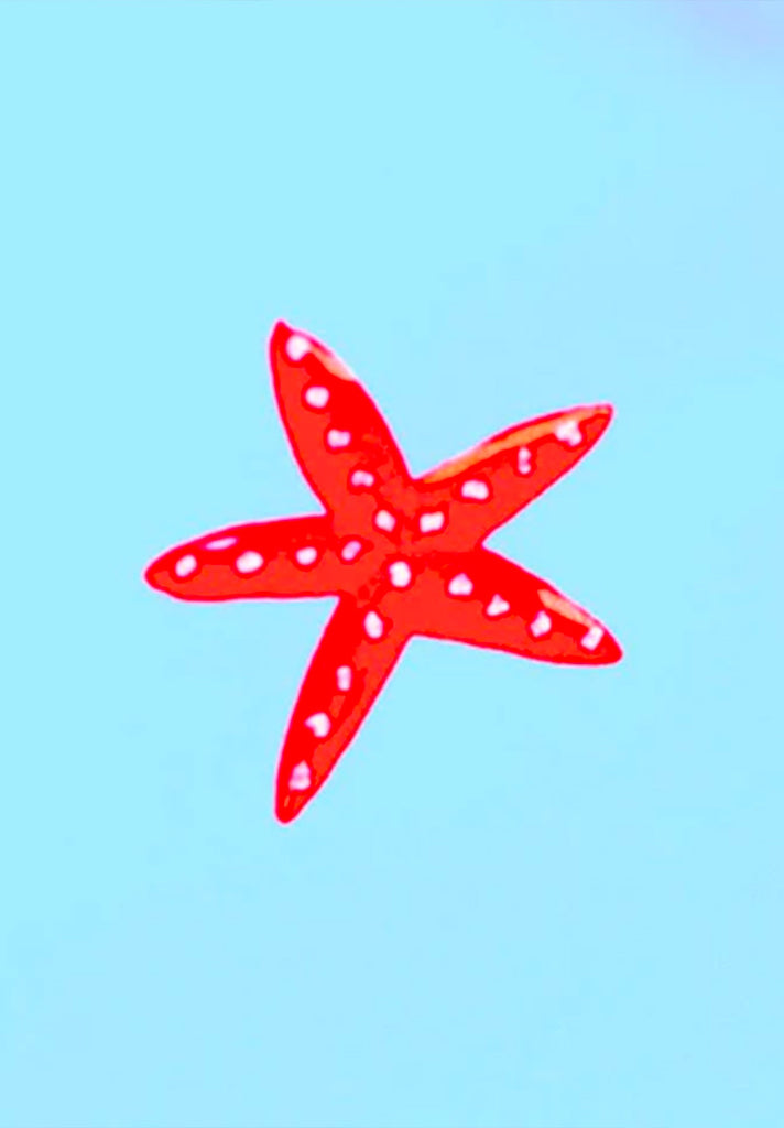 motif étoile de mer d'un short de bain