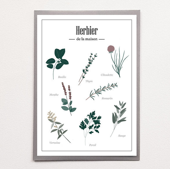 Jolie dessin imprimé en sérigraphie d'un herbier avec des plantes aromatiques.