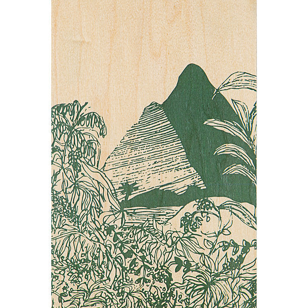 Carte en bois avec un dessin de jungle en vert.