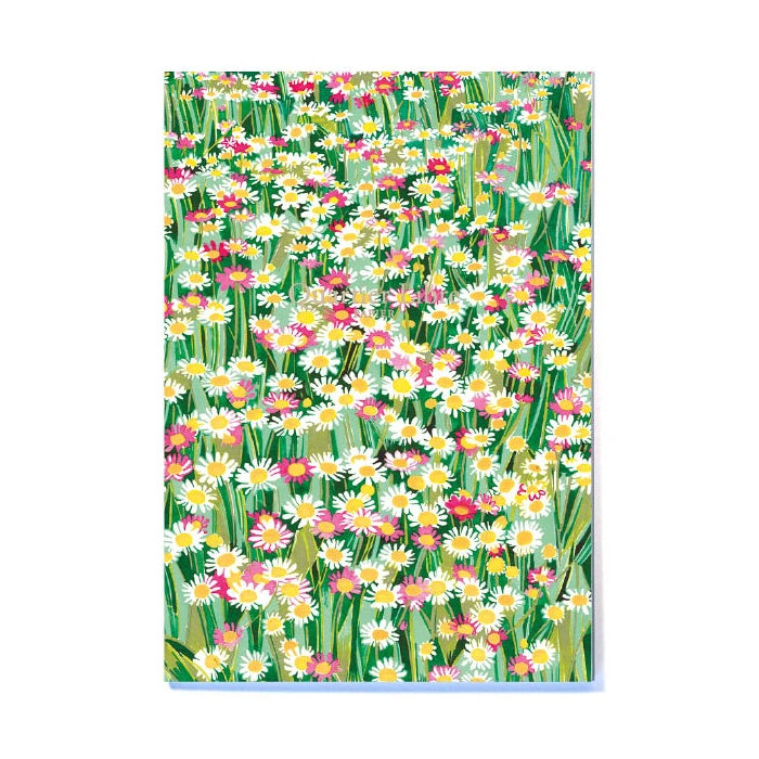 Couverture de carnet avec un dessin d'un champs de paquerettes.